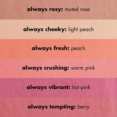 ELF Primer-Infused Matte Blush e.l.f.