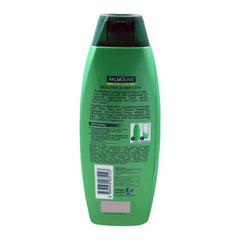 Palmolive Naturals Healthy & Smooth Shampoo - 375ml Palmolive