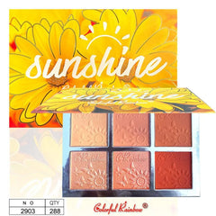 ColorFull Rainbow Sunshine 6in1 Blush Highlighter Palette Colorful Rainbow