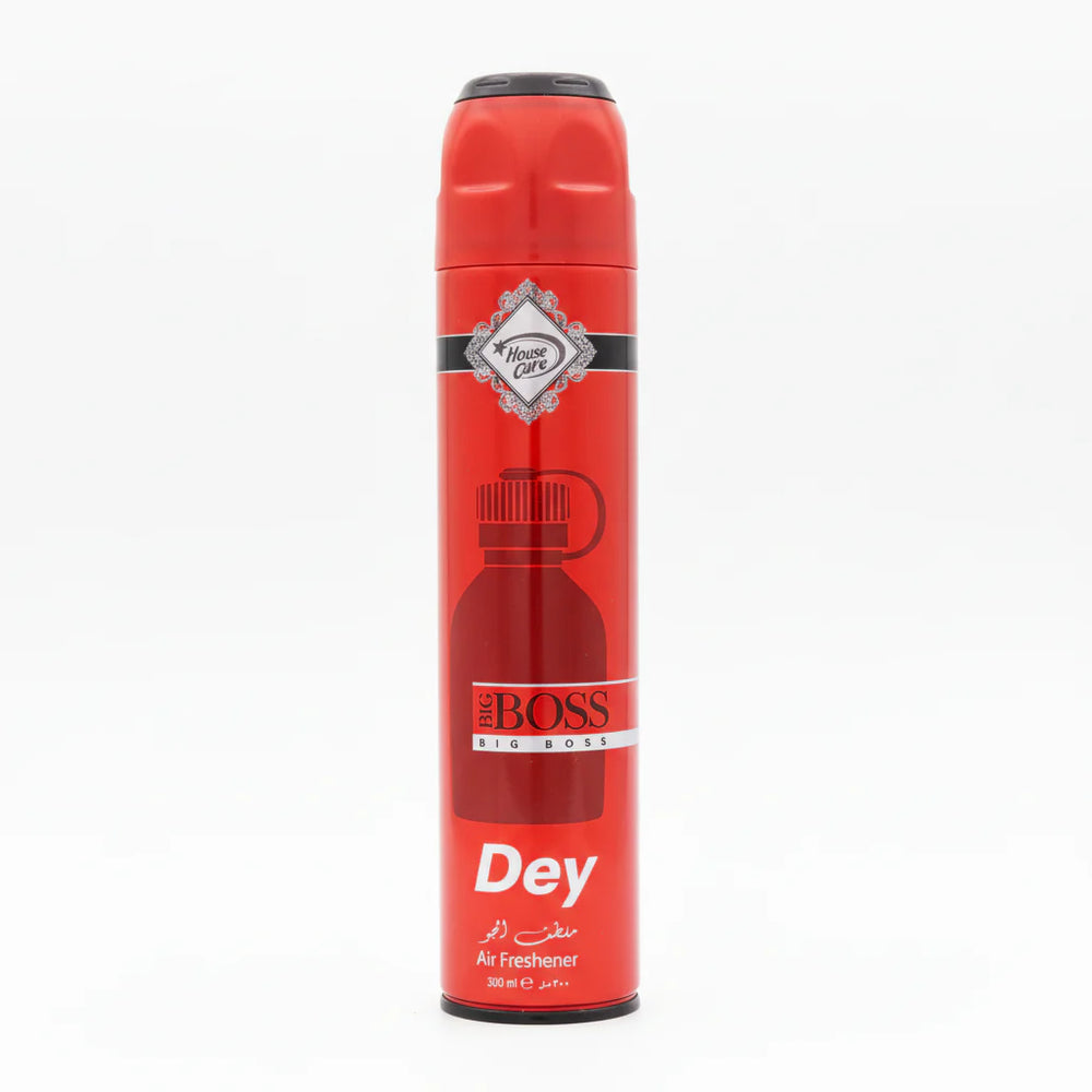 House Care Big Boss Dry Air Freshener - 300ml House Care