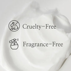 Beauty of Joseon Dynasty Cream Hydrating Face Moisturizer for Dry - 50ml Beauty Of Joseon