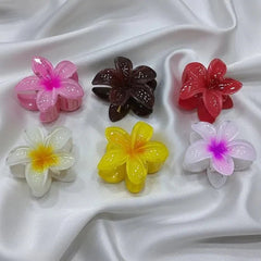 Multi-Colored Tropical Flower Hair Clips - Pack Of 6 Cosmia.pk