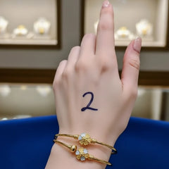 2-Piece Bangles Set – Elegant and Beautiful Cosmia