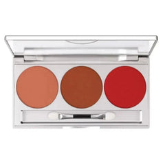 3 Color Fashion Trend Blush On Palette Fashion Trend