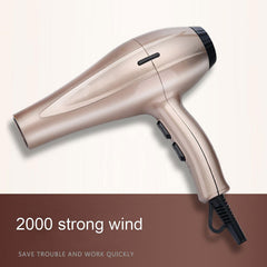 Jordan Professional Hair Dryer Heavy Motor Art No. JO-BY-530 Jordan
