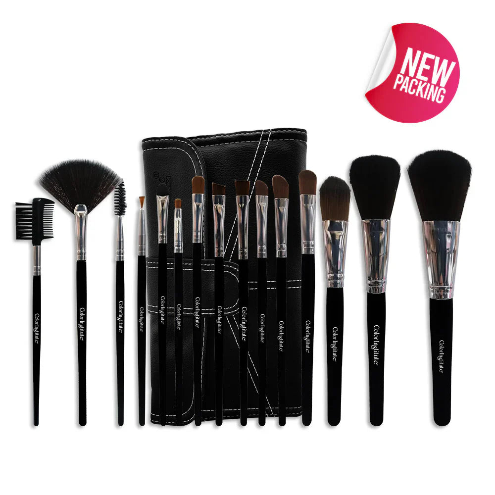 Color Institute 15 Piece Brush set With pouch. Color Institute