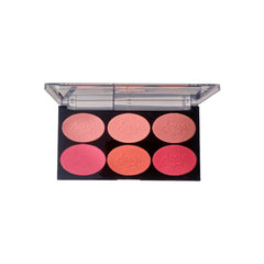Aqua Color Line 6 Color Blush Palette Aqua Color Line