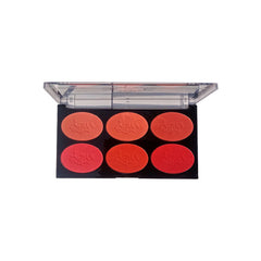 Aqua Color Line 6 Color Blush Palette Aqua Color Line