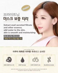 HCHANA Snail Moisturizing & Smoothing Facial Mask HCHANA
