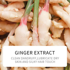 Sadoer Plant Ginger Refreshing Pliable Shampoo - 500ml Sadoer
