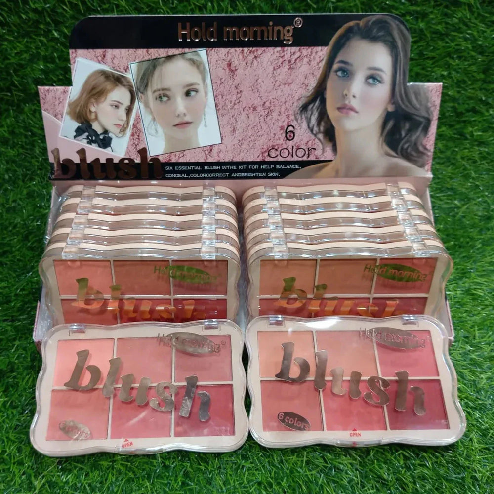 Hold morning 6 in 1 blushon Palette Each Hold Morning