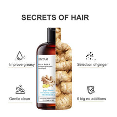 JOMTAM Ginger Herbal Shampoo Anti-Hair Loss Itching Dandruff Control - 400ml Jomtam