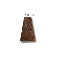 Keune Tinta DARK MOCHA BLONDE 6.03 with Keune Developer 20 Volume - 60 ml Keune