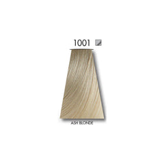 KEUNE TINTA Color Deal ASH BLONDE 1001 with Keune Developer 20 Volume - 60 ml Keune
