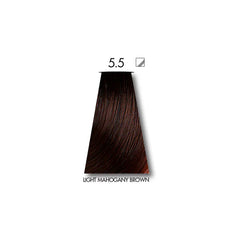 KEUNE TINTA LIGHT MAHOGANY BROWN 5.5 with Keune Developer 20 Volume - 60 ml Keune