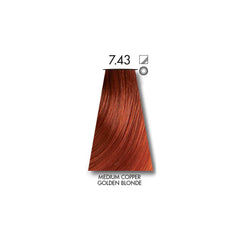 KEUNE TINTA MEDIUM COPPER GOLDEN BLONDE 7.43 with Keune Developer 20 Volume - 60 ml Keune