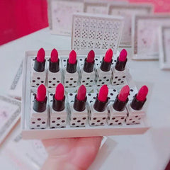 MAC 12 colour Nico Panda lipstick box Mac