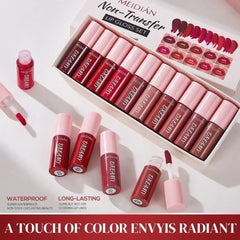Meidian non transfer lipgloss set - 10 Pcs Box Meidian
