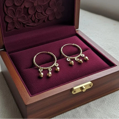 Elegant Gold-Plated Hoop Earrings Beauty with a Modern Touch Cosmia