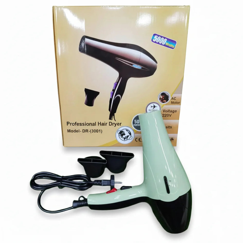 Style Hair Dryer - DR-(3001) Cosmia.pk