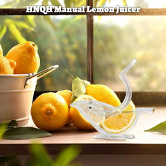 Acrylic Lemon Slice Juicer Manual Lemon Juicer Cosmia.pk