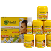 Garnier Facial Kit Garnier
