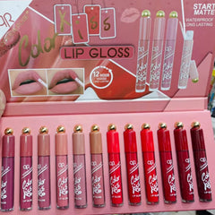 Qoiden Rose 12 Pcs Lipgloss set Qoiden Rose