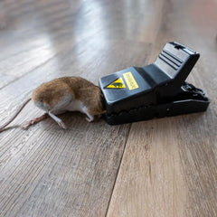 Heavy Duty Plastic Snap Mouse Trap – High Efficiency Rodent Control Cosmia.pk