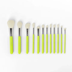 BH Cosmetics Colour Festival Brush Collection – 12 Pcs BH Cosmetics
