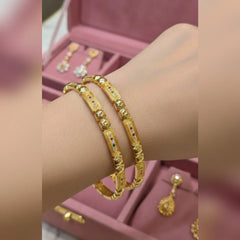 Rajwari 2Pcs Bangles Set Cosmia