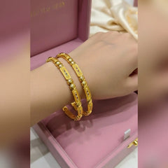 Rajwari 2Pcs Bangles Set Cosmia