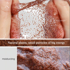 Lollywood Style's Algae Mask | Pure Seaweed 50 gm Medium Cosmia.pk