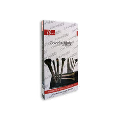 Color Institute 10 Piece Leather Brush set Color Institute