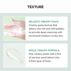 SKIN1004 Madagascar Centella Tea-Trica BHA Foam 4.22 fl.oz, 125ml SKIN1004