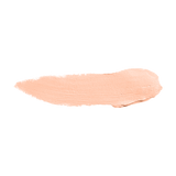 Color Institute Foundation Stick