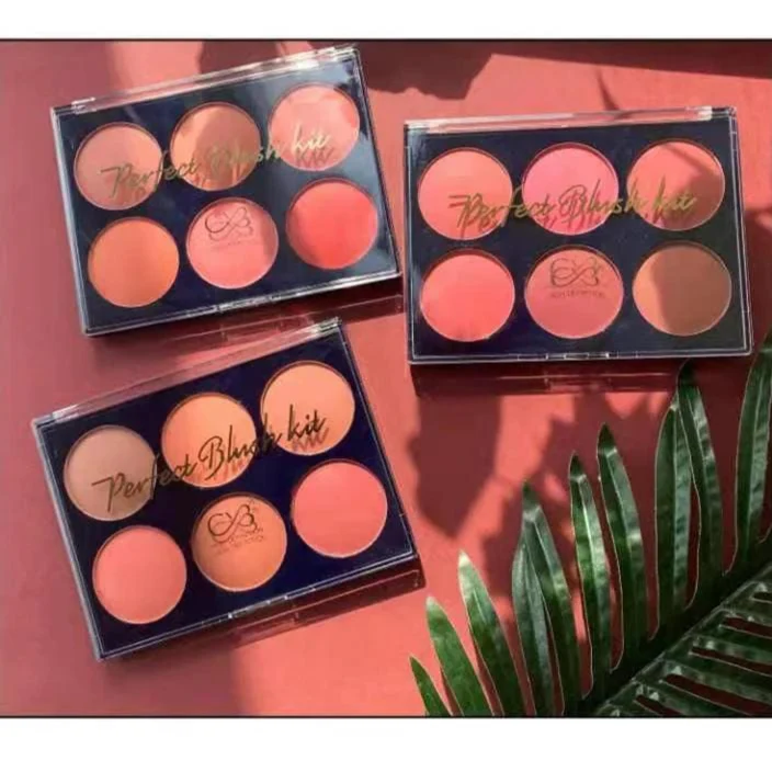 CVB Blush & Contour Kit CVB