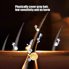 Comb Instant Hair 2 in 1 – Touch Up Hair Dye Comb Cosmia.pk