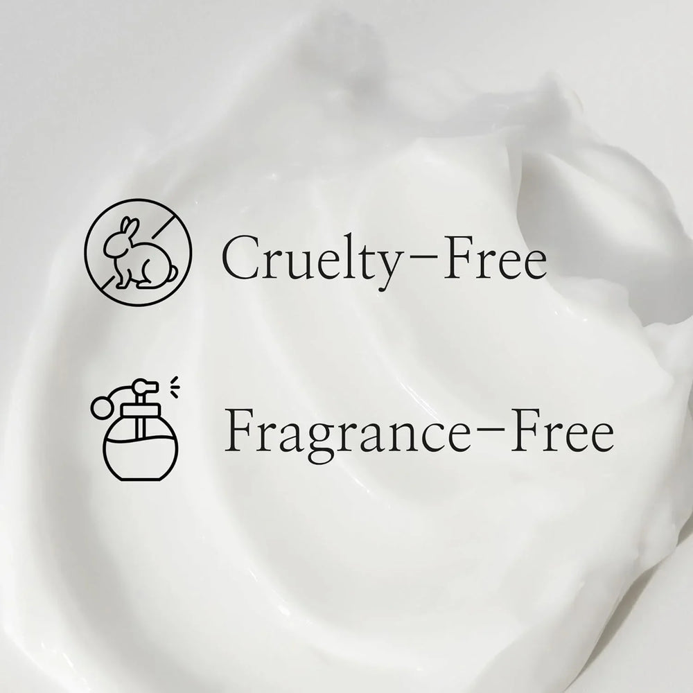 Beauty of Joseon Dynasty Cream Hydrating Face Moisturizer for Dry - 50ml Beauty Of Joseon