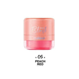 5 Pcs Maliao 3D Powder Matte Puff Blush