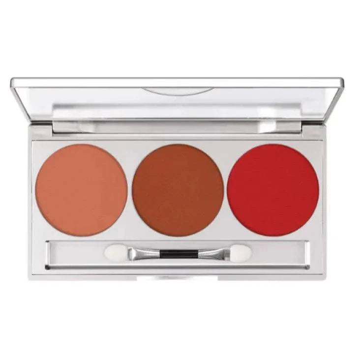 3 Color Fashion Trend Blush On Palette Fashion Trend