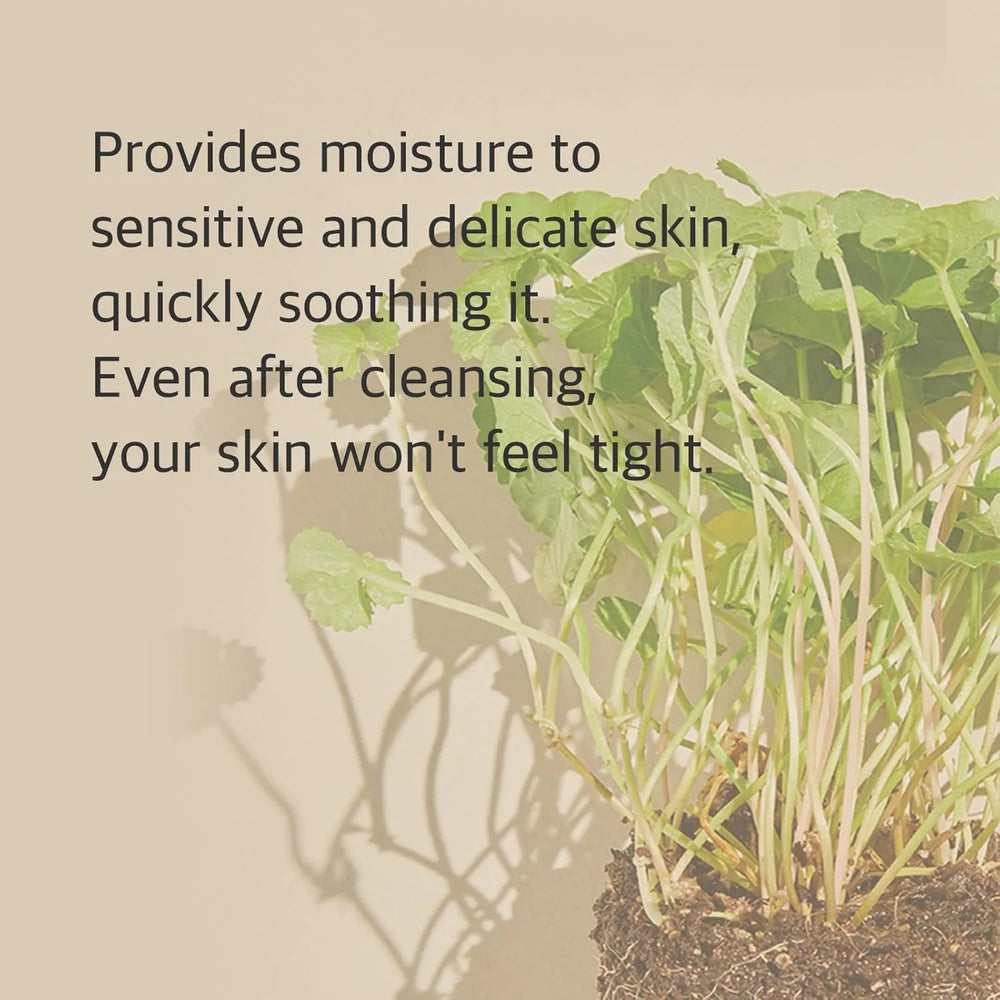 Mixsoon Centella Cleansing Foam – 150 ml Mixsoon