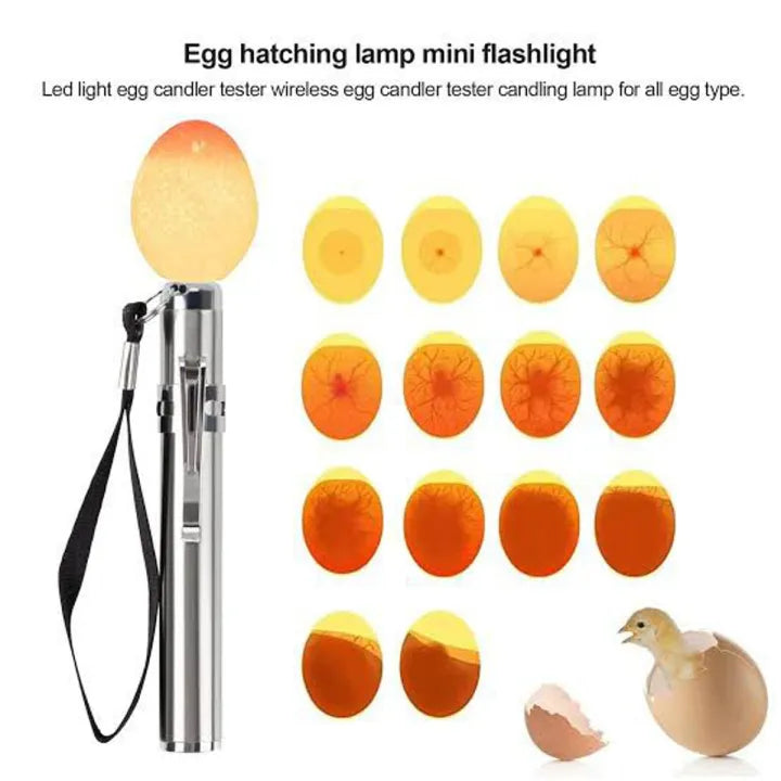 Stainless Steel Egg Candling Torch Cosmia.pk