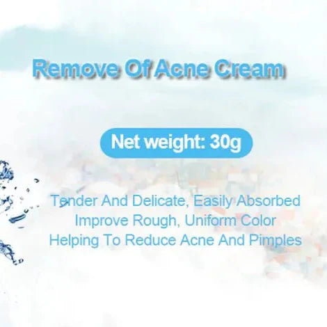 BIOAQUA- Acne Removal Pure Skin Cream - 30g Bioaqua