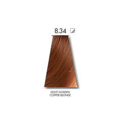Keune Tinta Deal Light Copper Golden Blonde 8.34 with Keune Developer 20 Volume - 60 ml Keune
