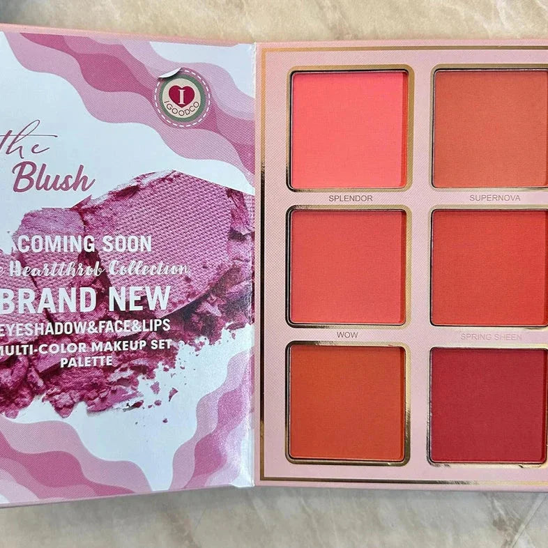 Igoodco All in One 5 Pages Makeup Book Palette Igoodco