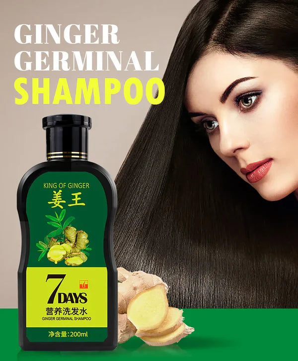 Aichun Beauty 7 Days Ginger Hair Shampoo - 200ml Aichun Beauty