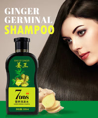 Aichun Beauty 7 Days Ginger Hair Shampoo - 200ml Aichun Beauty
