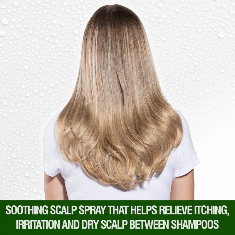 Chi Tea Tree Oil Blend Soothing Scalp Hair Spray - 89ml CHI