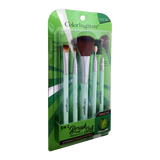 Color Institute 5 in 1 Brush Set