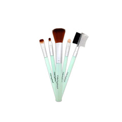 Color Institute 5 in 1 Brush Set Color Institute